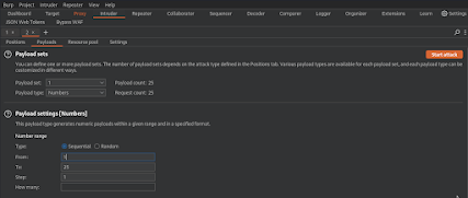 Burpsuite screenshot 2